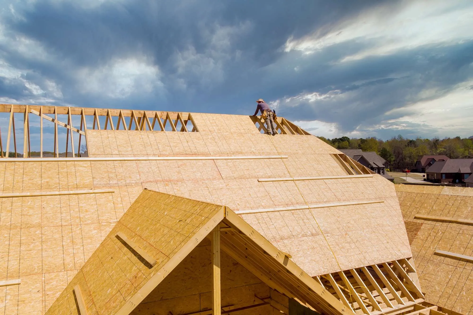 Professional Roofing